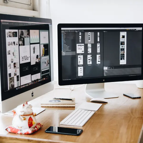 Website design by SEO expert in North Delhi